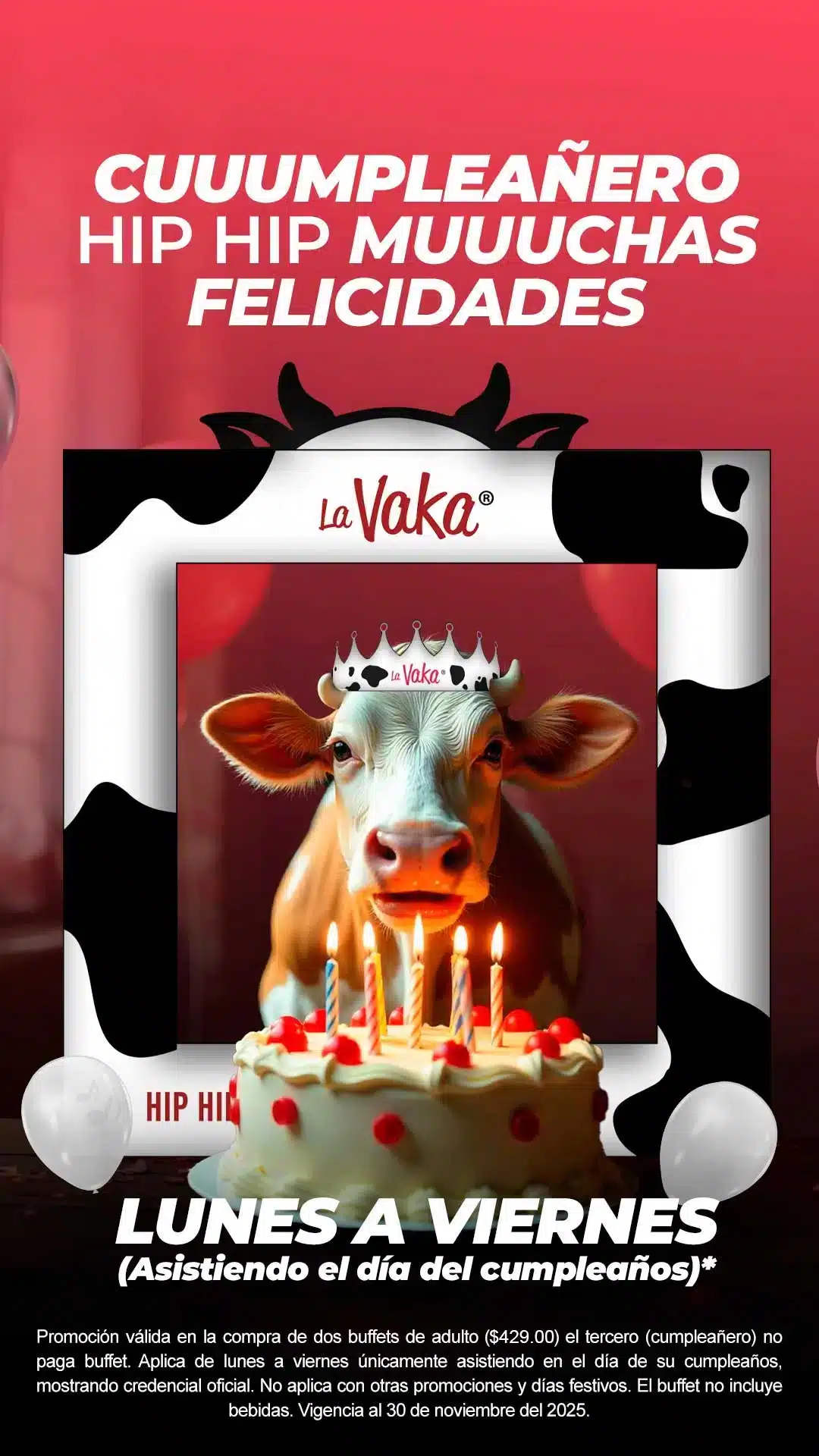 Promoción cumpleañero